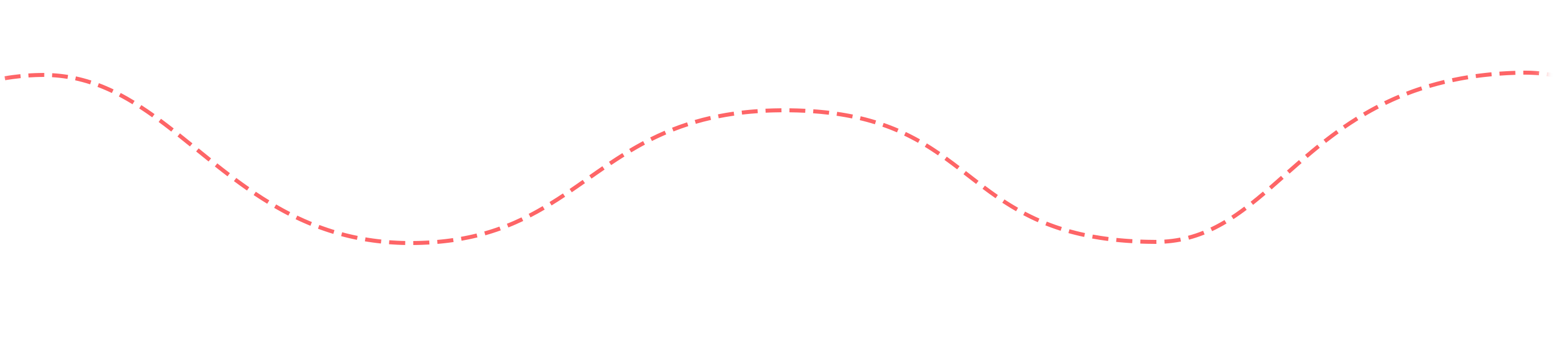 The curved line for the Seed Kindness Fund timeline